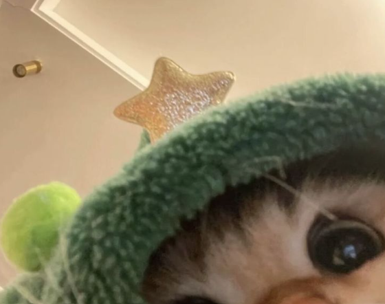 <em><strong>Maxene 41 | Arkansas</strong></em>